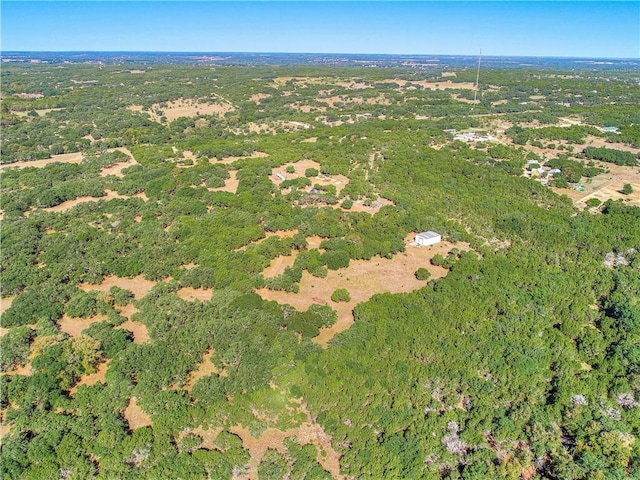 24391 Bingham Creek Rd, Leander, TX 78641 - photo 24