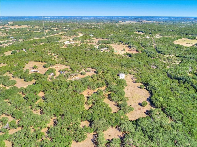 24391 Bingham Creek Rd, Leander, TX 78641 - photo 25