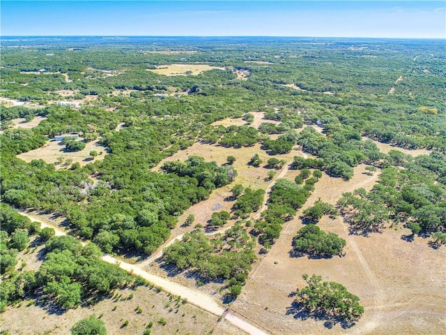 24391 Bingham Creek Rd, Leander, TX 78641 - photo 26