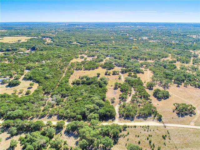 24391 Bingham Creek Rd, Leander, TX 78641 - photo 27