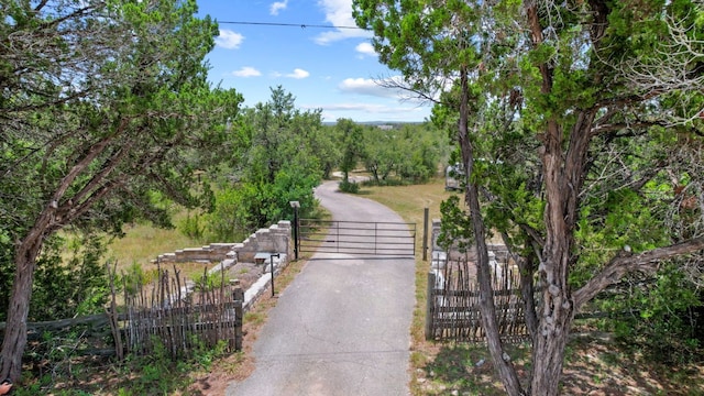 20001 Hamilton Pool Rd, Dripping Springs, TX 78620 - photo 1