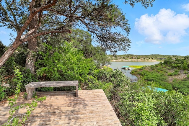 3108 Brasada Ln, Marble Falls, TX 78654 - photo 2