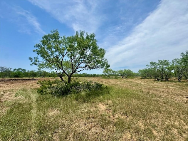 TBD Cr 171, Nixon, TX 78140 - photo 10