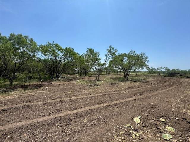 TBD Cr 171, Nixon, TX 78140 - photo 12