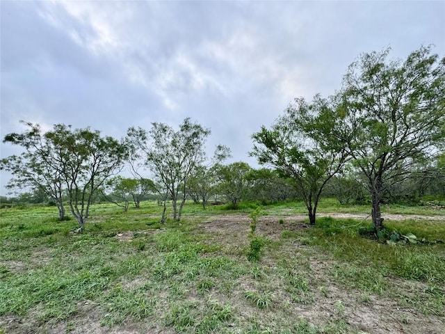 TBD Cr 171, Nixon, TX 78140 - photo 3