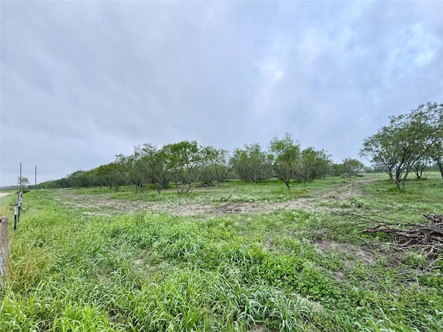 TBD Cr 171, Nixon, TX 78140 - photo 5