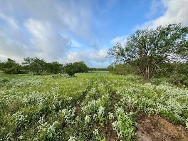 TBD Cr 171, Nixon, TX 78140 - photo 6