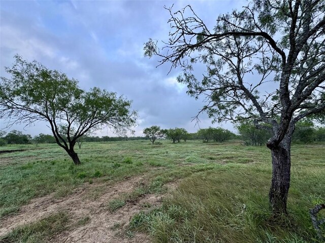 TBD Cr 171, Nixon, TX 78140 - photo 7