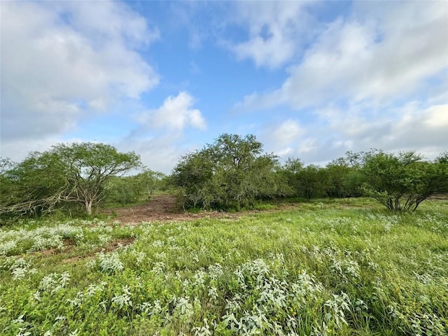 TBD Cr 171, Nixon, TX 78140 - photo 8
