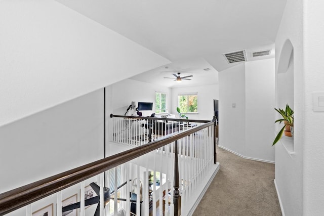 1620 Rockland Dr Unit 167, Austin, TX 78748 - corridor with carpet floors