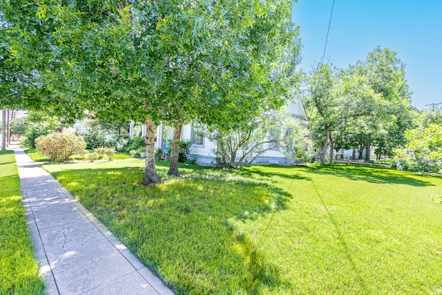 618 N Penelope St, Belton, TX 76513 - view of grassy yard