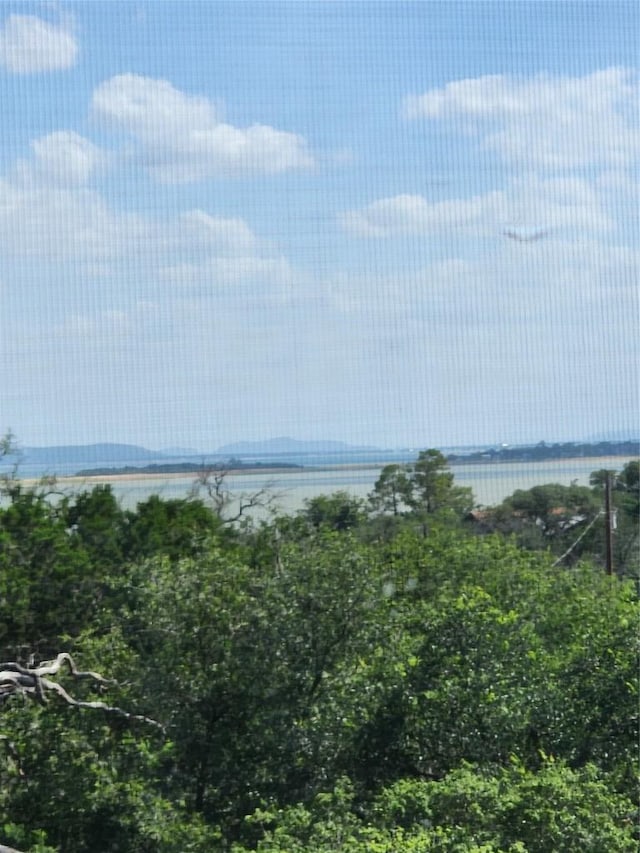200 Nature Dr, Burnet, TX 78611 - water view
