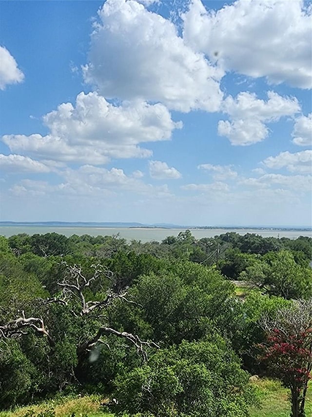 200 Nature Dr, Burnet, TX 78611 - bird's eye view of a nearby body of water