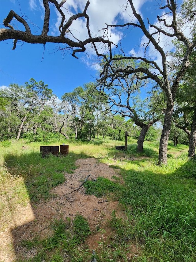 200 Nature Dr, Burnet, TX 78611 - view of yard