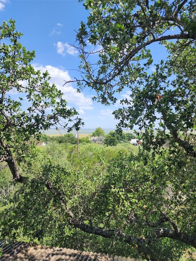 0 Monte Vista Dr, Burnet, TX 78611 - view of nature
