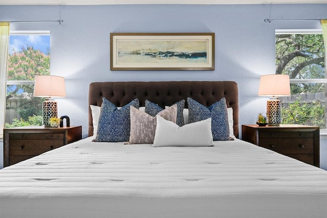 3305 Blue Ridge Dr, Round Rock, TX 78681 - view of bedroom