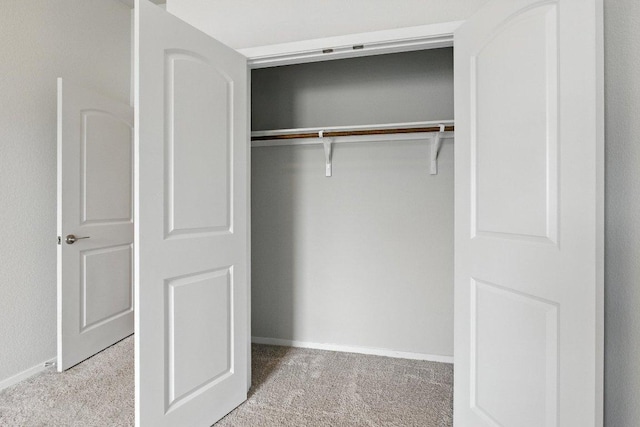 337 Spiny Lizard Ln, San Marcos, TX 78666 - view of closet