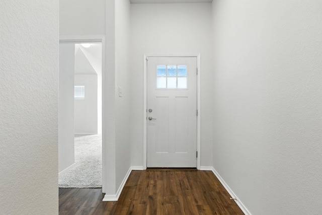 337 Spiny Lizard Ln, San Marcos, TX 78666 - foyer with dark wood finished floors and a textured wall