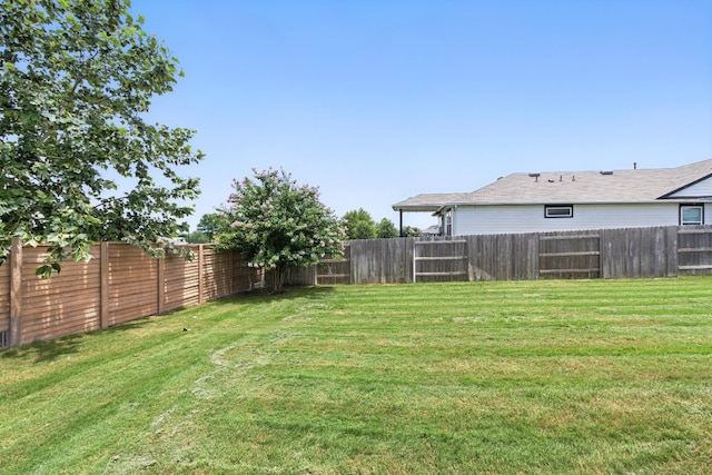 337 Spiny Lizard Ln, San Marcos, TX 78666 - view of fenced backyard
