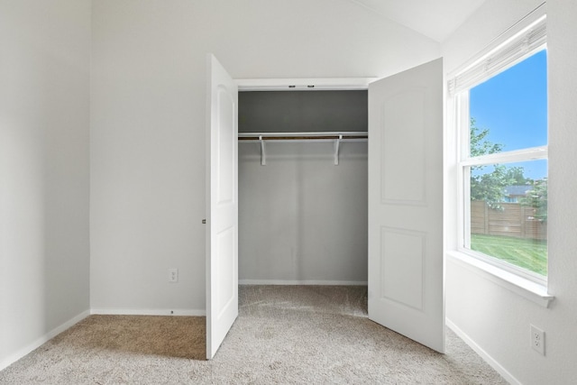 337 Spiny Lizard Ln, San Marcos, TX 78666 - view of closet