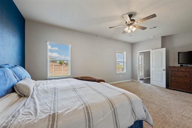 316 Shiner Ln, Georgetown, TX 78626 - bedroom with multiple windows, carpet flooring, and ceiling fan