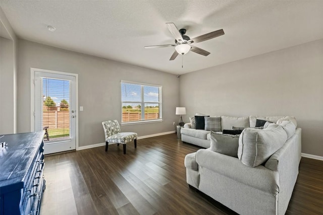 316 Shiner Ln, Georgetown, TX 78626 - photo 11