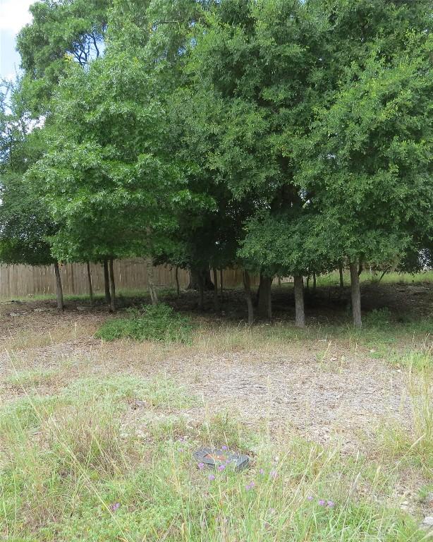 49 NE El Camino Real Dr, Wimberley, TX 78676 - photo 2
