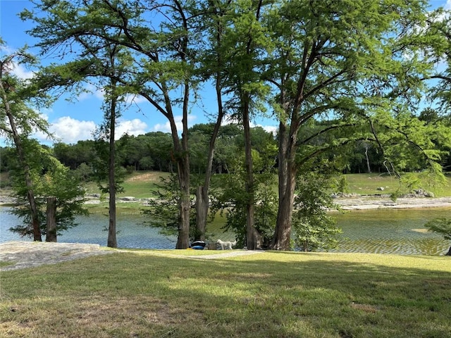 220 Southriver St, Wimberley, TX 78676 - photo 24