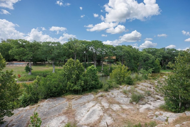 220 Southriver St, Wimberley, TX 78676 - photo 39