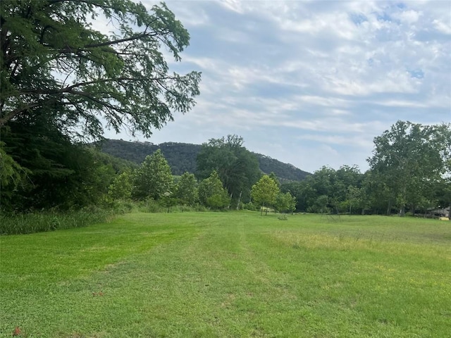 259 Blanco Dr, Wimberley, TX 78676 - photo 17