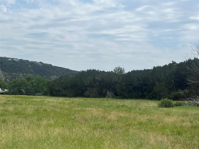 259 Blanco Dr, Wimberley, TX 78676 - photo 10