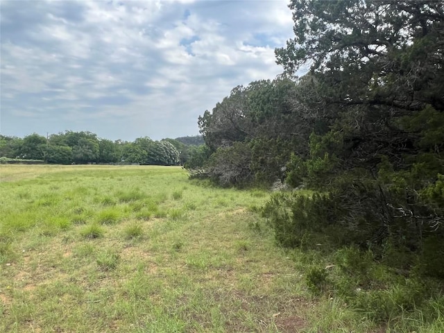 259 Blanco Dr, Wimberley, TX 78676 - photo 11