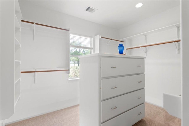 2905 Post River Rd, Cedar Park, TX 78613 - spacious closet featuring carpet floors