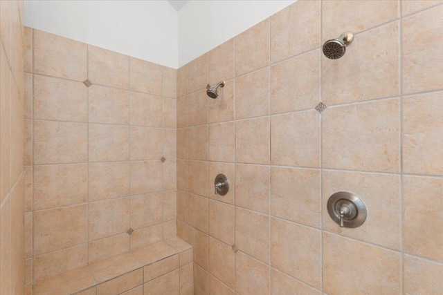 2905 Post River Rd, Cedar Park, TX 78613 - bathroom with a tile shower