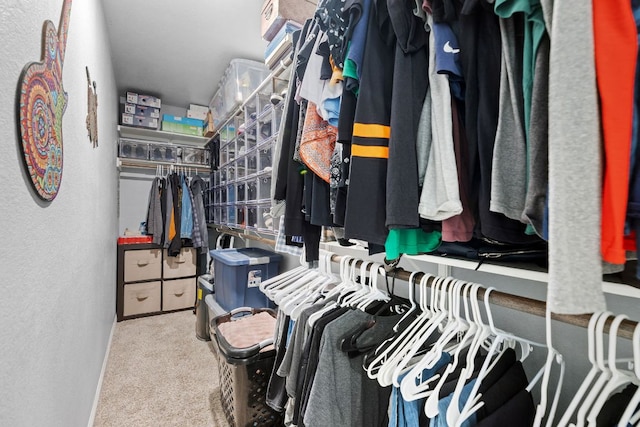 6045 Teodoro Bnd, Round Rock, TX 78665 - spacious closet featuring carpet flooring