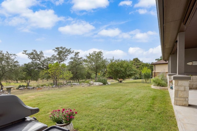 206 N Augusta Dr, Point Venture, TX 78645 - photo 35