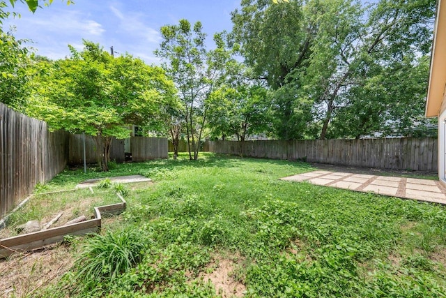 7309 Blessing Ave, Austin, TX 78752 - fenced backyard with a garden