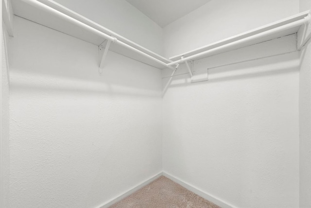 7309 Blessing Ave, Austin, TX 78752 - spacious closet with carpet floors