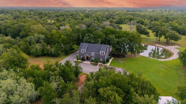 TBD Fm 3000, Elgin, TX 78621 - aerial view at dusk of a water view and a forest view