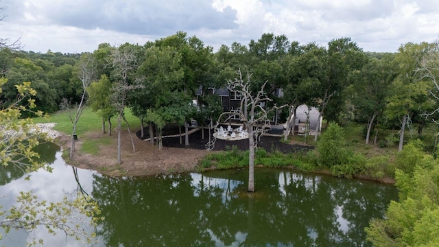 TBD Fm 3000, Elgin, TX 78621 - dock area with a water view and a view of trees