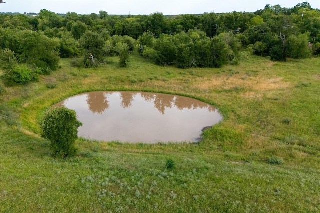TBD Fm 3000, Elgin, TX 78621 - photo 4