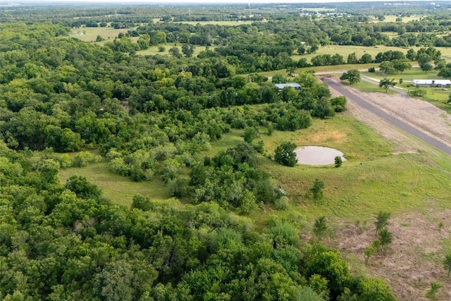 TBD Fm 3000, Elgin, TX 78621 - photo 34