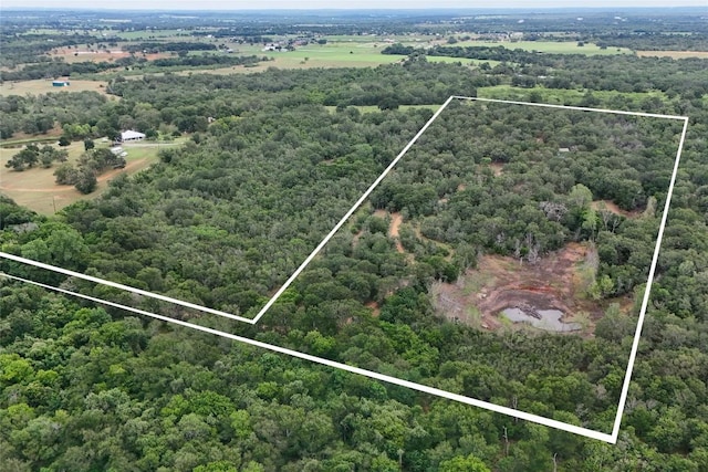 415 Balch Rd, Elgin, TX 78621 - aerial overview of property's location with property parcel outlined
