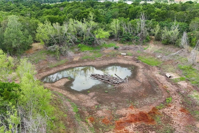 415 Balch Rd, Elgin, TX 78621 - bird's eye view