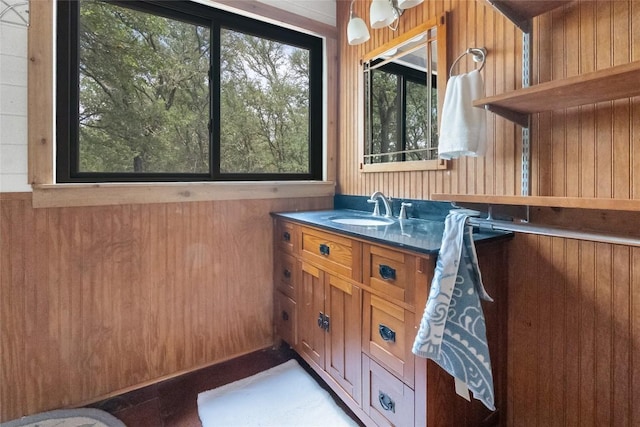 415 Balch Rd, Elgin, TX 78621 - bathroom featuring wood walls and vanity