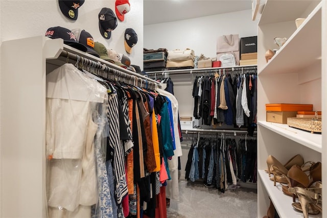 24822 Levante Dr, Richmond, TX 77406 - walk in closet with carpet