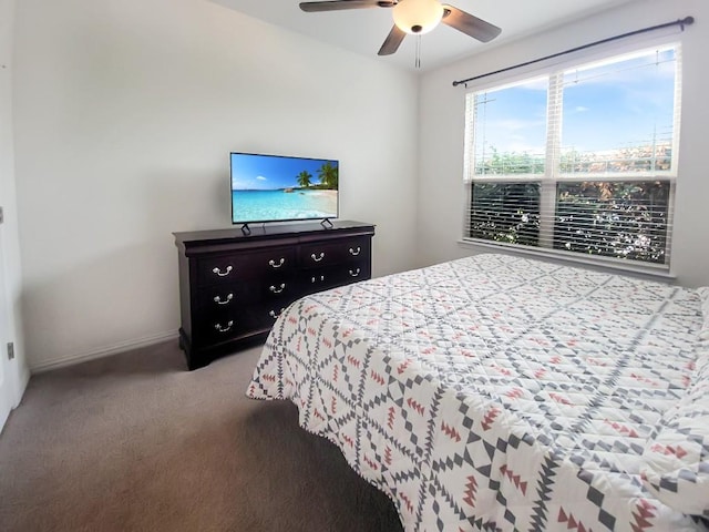 232 Silver Pass, Kyle, TX 78640 - carpeted bedroom with baseboards and a ceiling fan