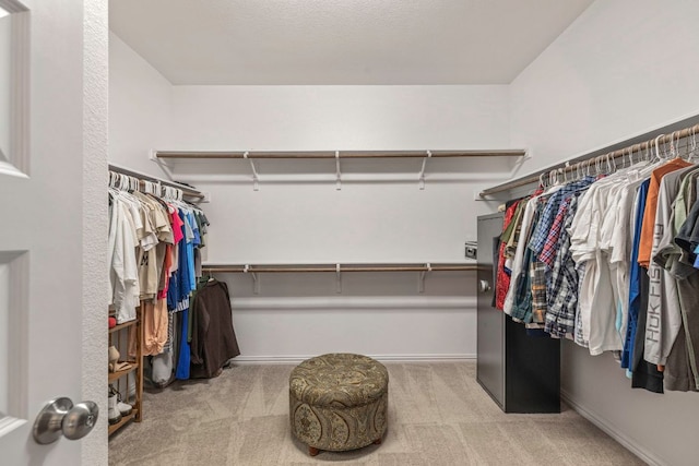 232 Silver Pass, Kyle, TX 78640 - walk in closet featuring carpet floors
