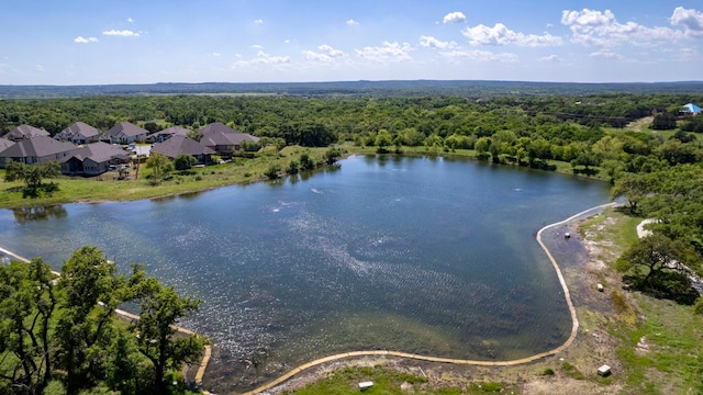 232 Silver Pass, Kyle, TX 78640 - bird's eye view of a large body of water