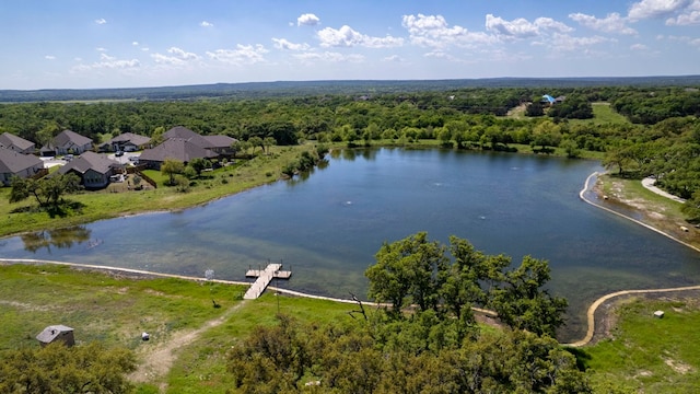 232 Silver Pass, Kyle, TX 78640 - bird's eye view of a forest and a large body of water